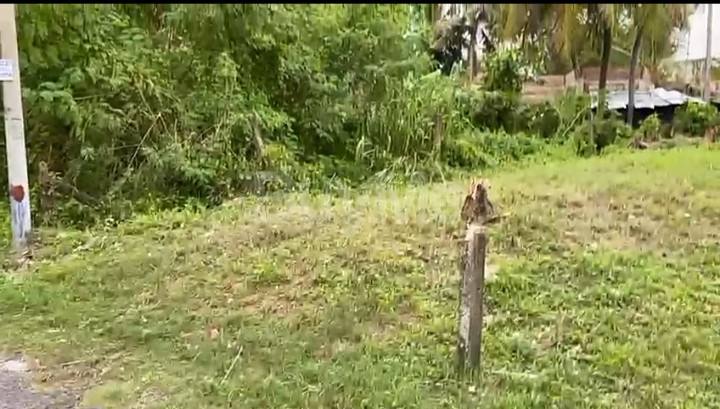 LAND FOR SALE IN DEHIWALA