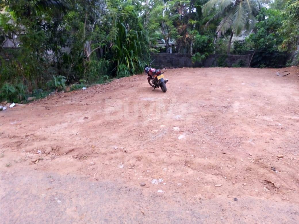 LAND FOR SALE IN HOMAGAMA