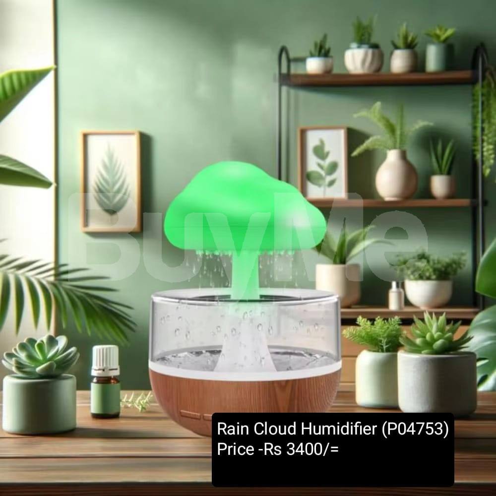 RAIN CLOUD HUMIDIFIER