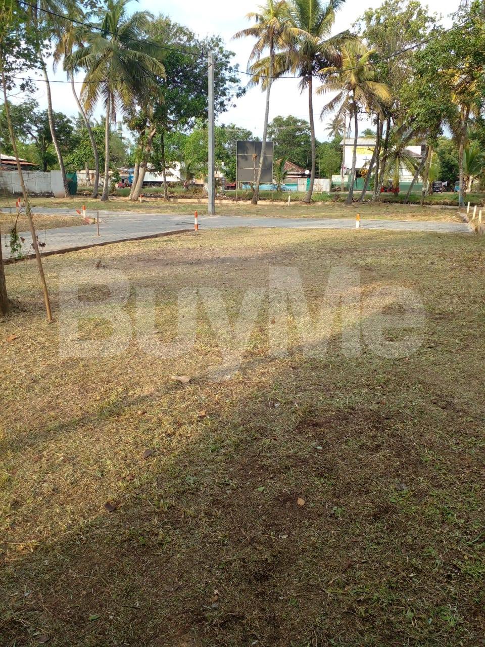 LAND FOR SALE IN WATTALA SAVI LANDS