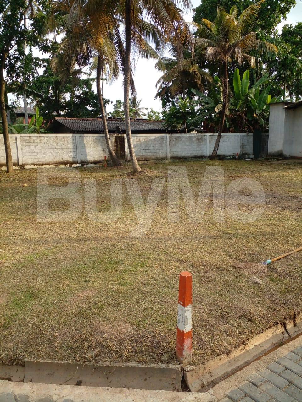 LAND FOR SALE IN WATTALA BY SAVI LANDS