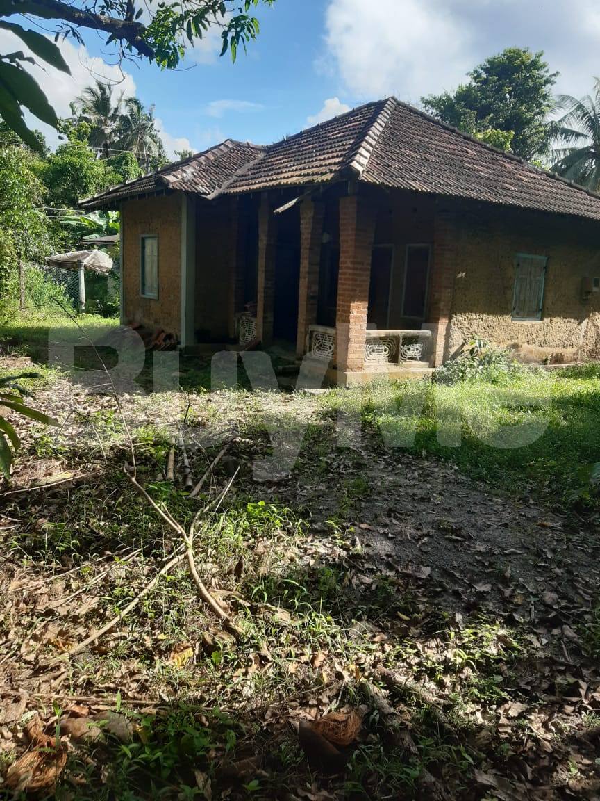 17 P LAND WITH OLD HOUSE FOR SALE IN HOMAGAMA