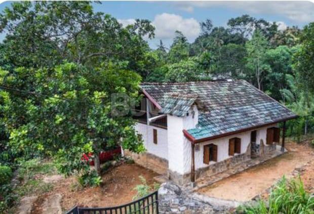 QUIET PLACE FOR RENT IN KANDY, NILLAMBE