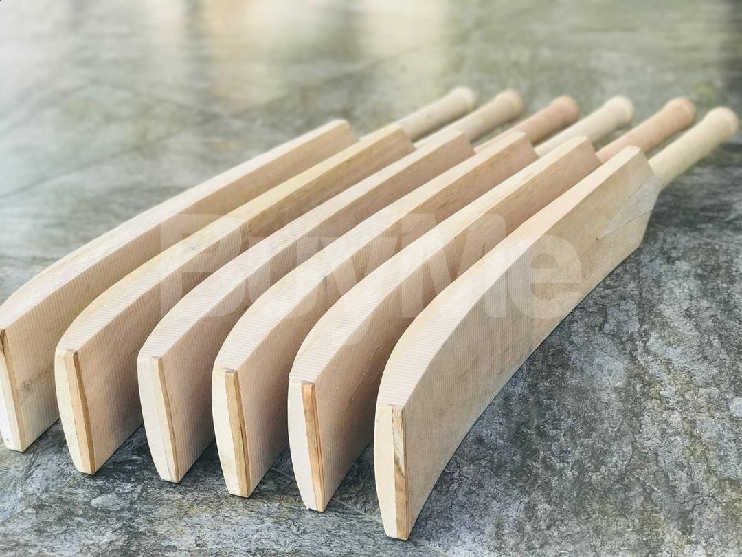 CRICKET BAT
