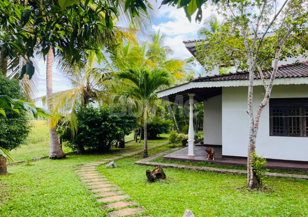 CURRENTLY RUNNING HOTEL FOR SALE IN TANGALLE - WITH FURNITURE