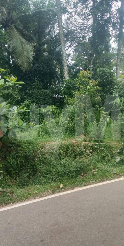 LAND FOR SALE IN HOMAGAMA