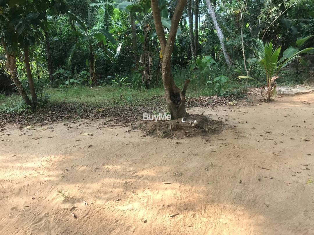 RESIDENTIAL LAND