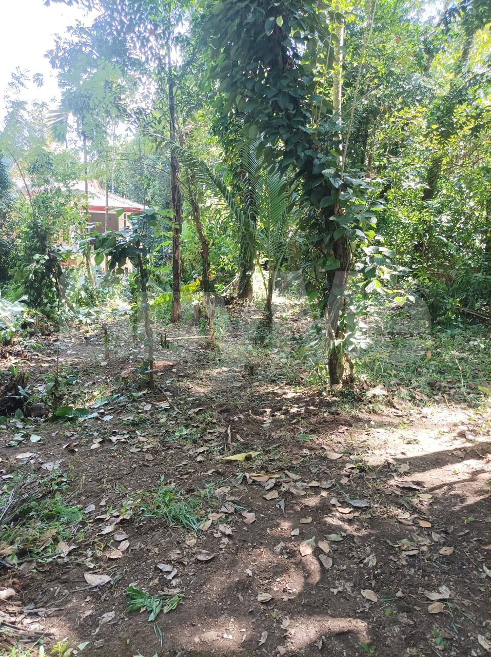 LAND FOR SALE IN PILAWALA, KANDY