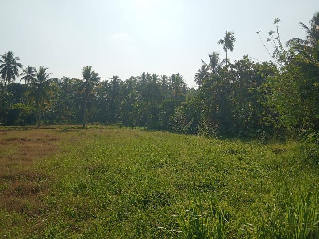 LAND FOR SALE IN MINUWANGODA