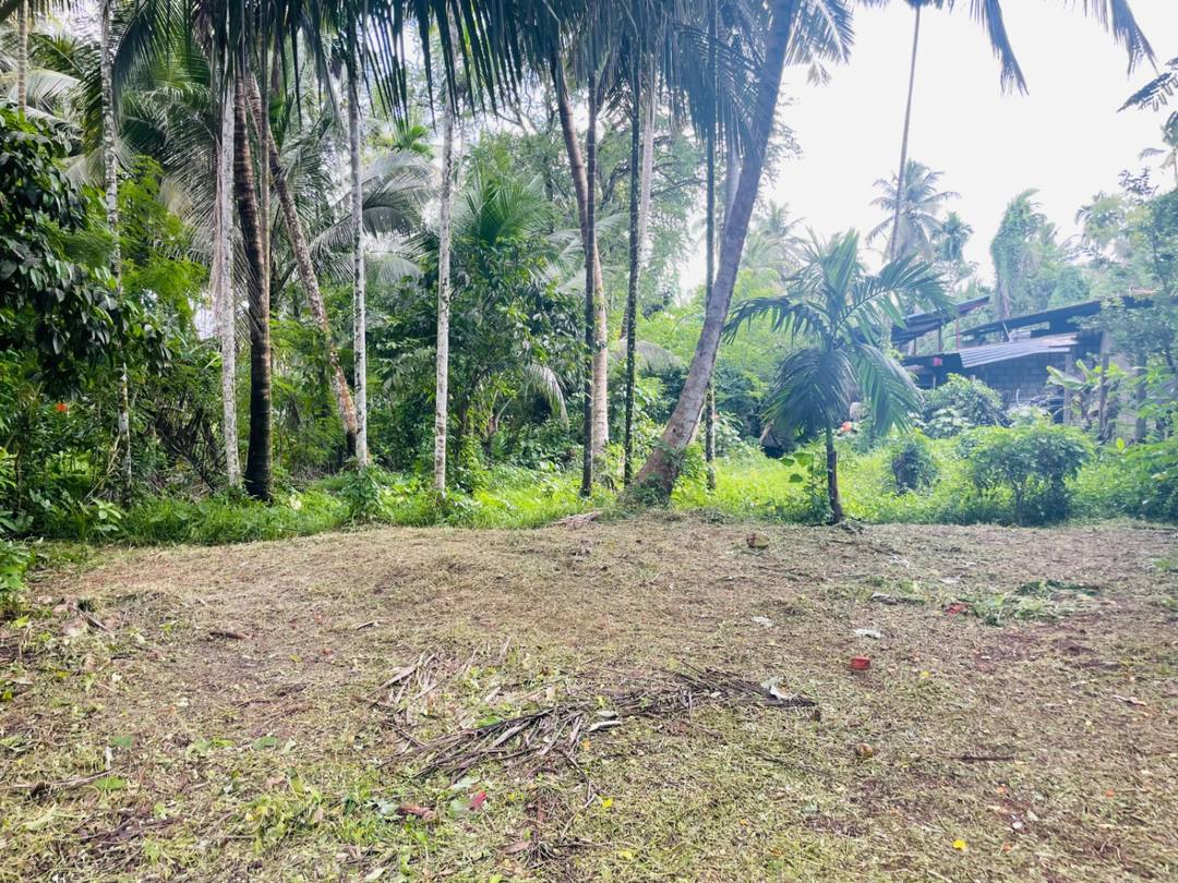 LAND FOR SALE IN MINUWANGODA