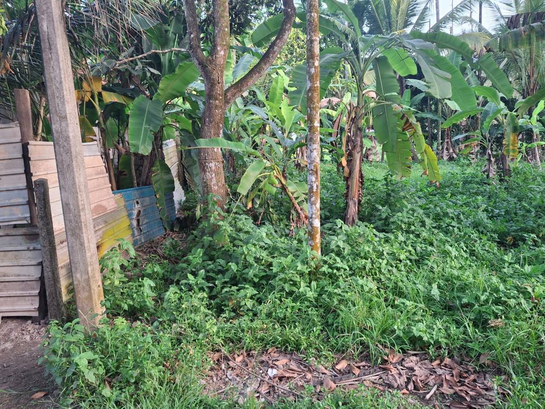 LAND FOR SALE IN NITTAMBUWA