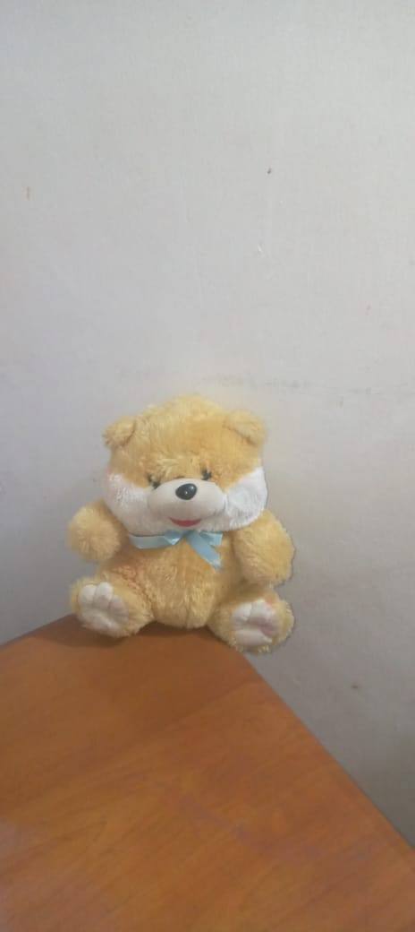 TEDDY BEAR
