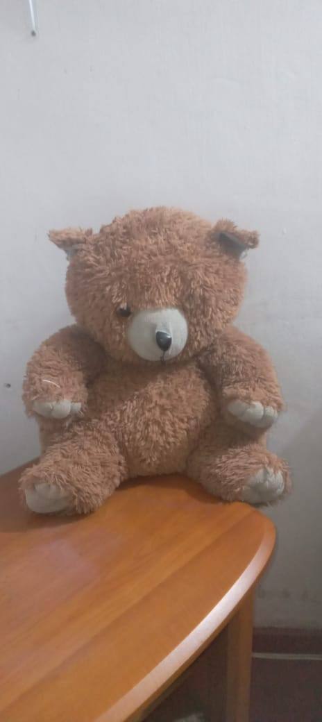 TEDDY BEAR BROWN