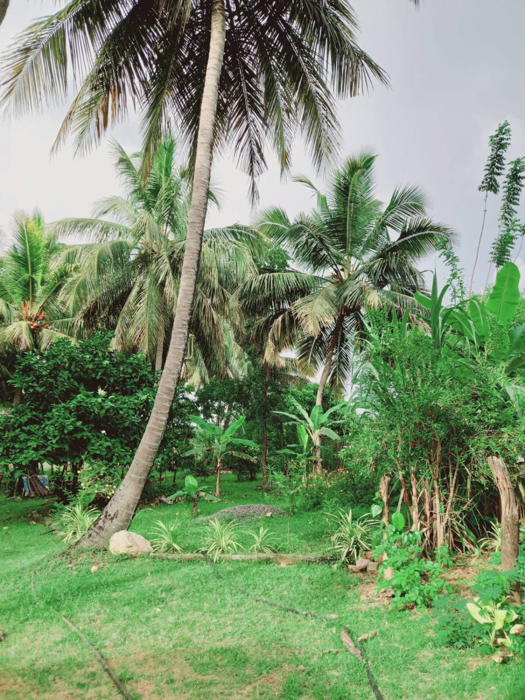 HOUSE WITH LAND FOR SALE IN GALEWELA MATALE