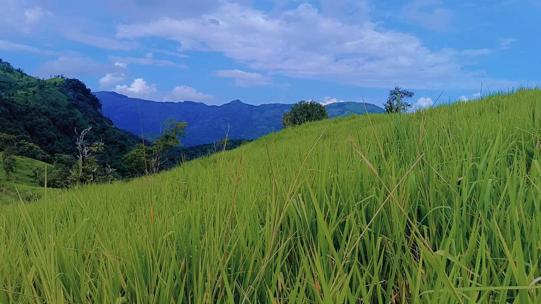 LAND FOR SALE IN KANDY