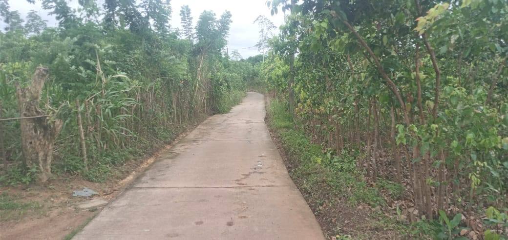 LAND FOR SALE IN AMBALANGODA. BATAPOLA