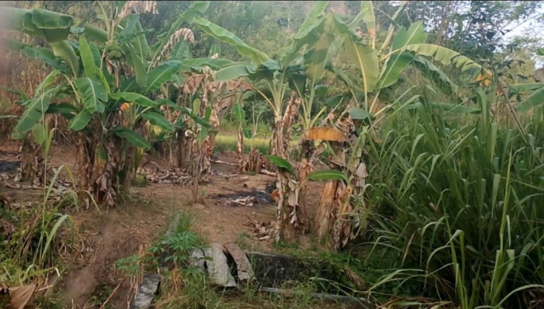 LAND FOR SALE IN MONARAGALA