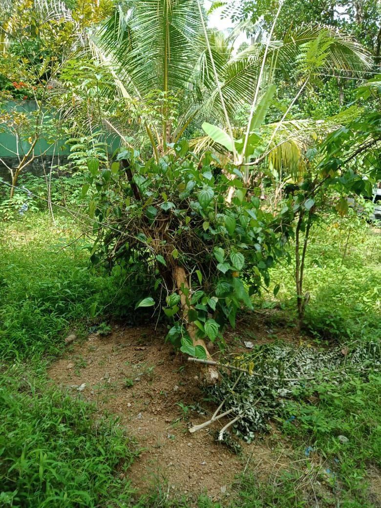 TWO STORY HOUSE FOR SALE IN KOSGAMA