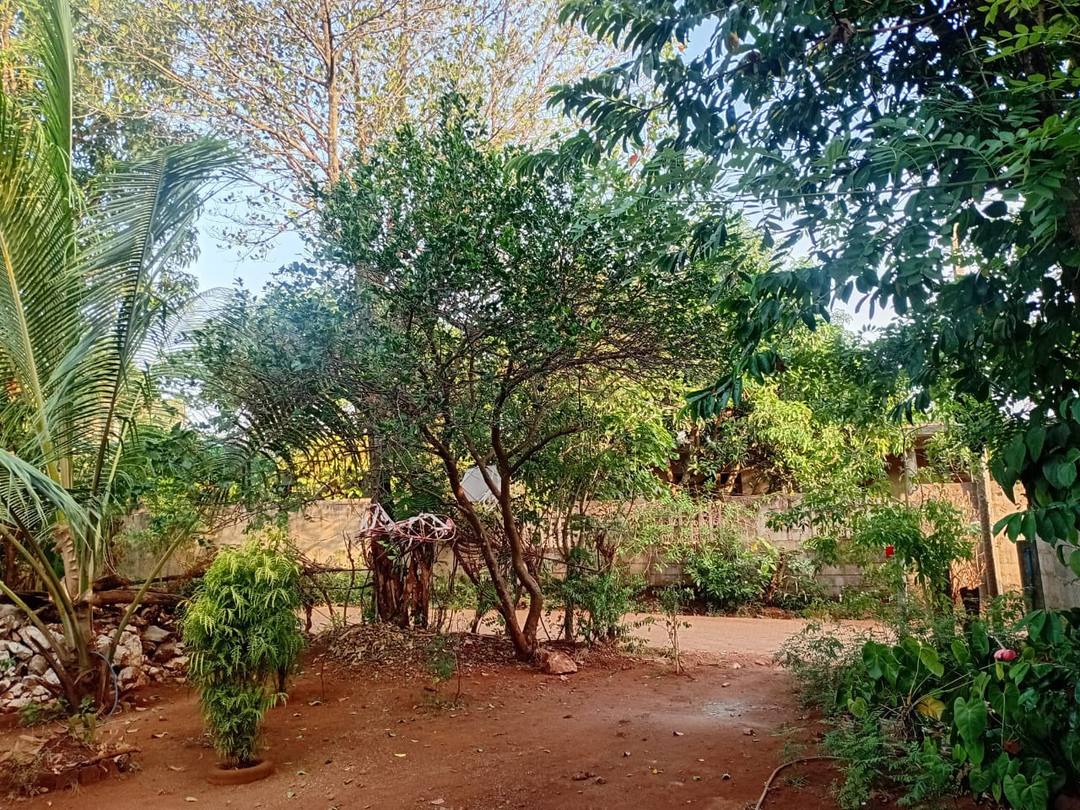LAND WITH HOUSE FOR SALE IN MATALE