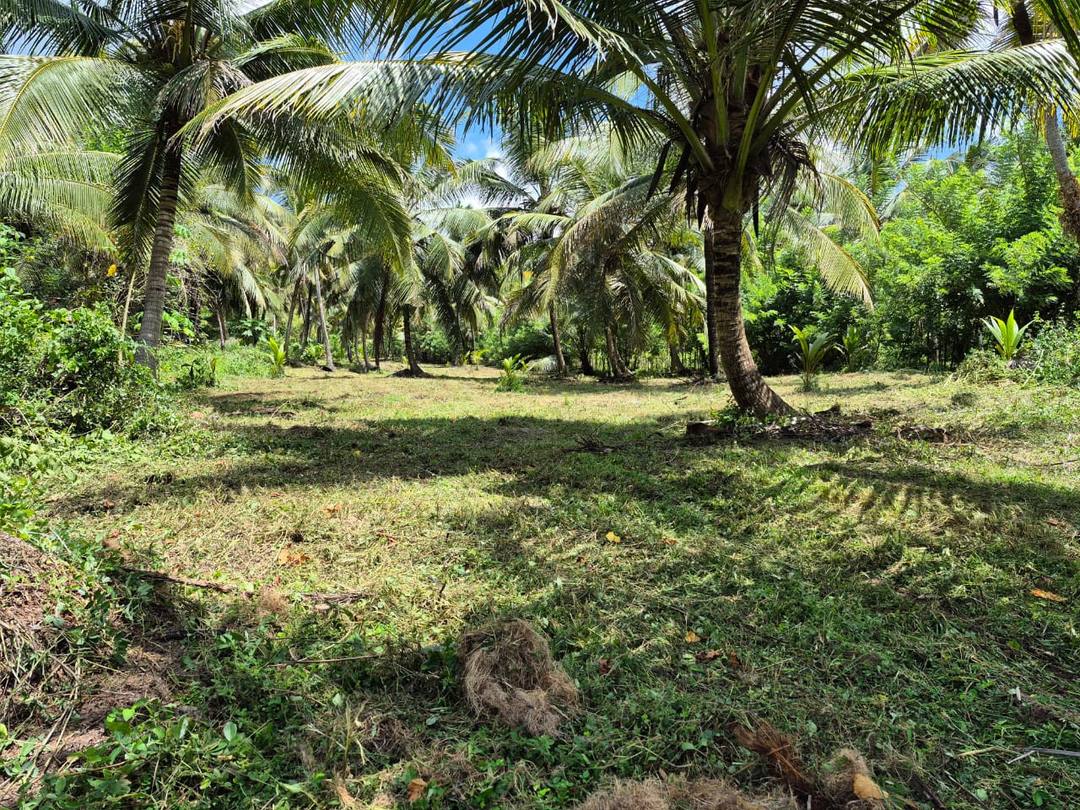 LAND FOR SALE KURUNEGALA WARIYAPOLA