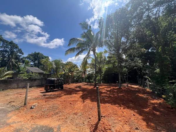 LAND FOR SALE IN HOMAGAMA UDUWANA