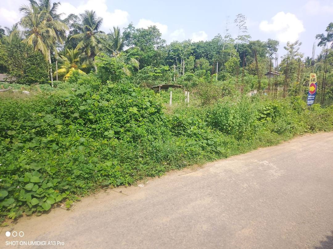 LAND FOR SALE IN PADUKKA