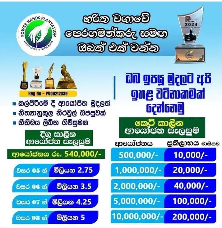 I AM LOOKING A GOOD INVESTORS FOR POWER HANDS PLANTATION INVESTMENT PLANS