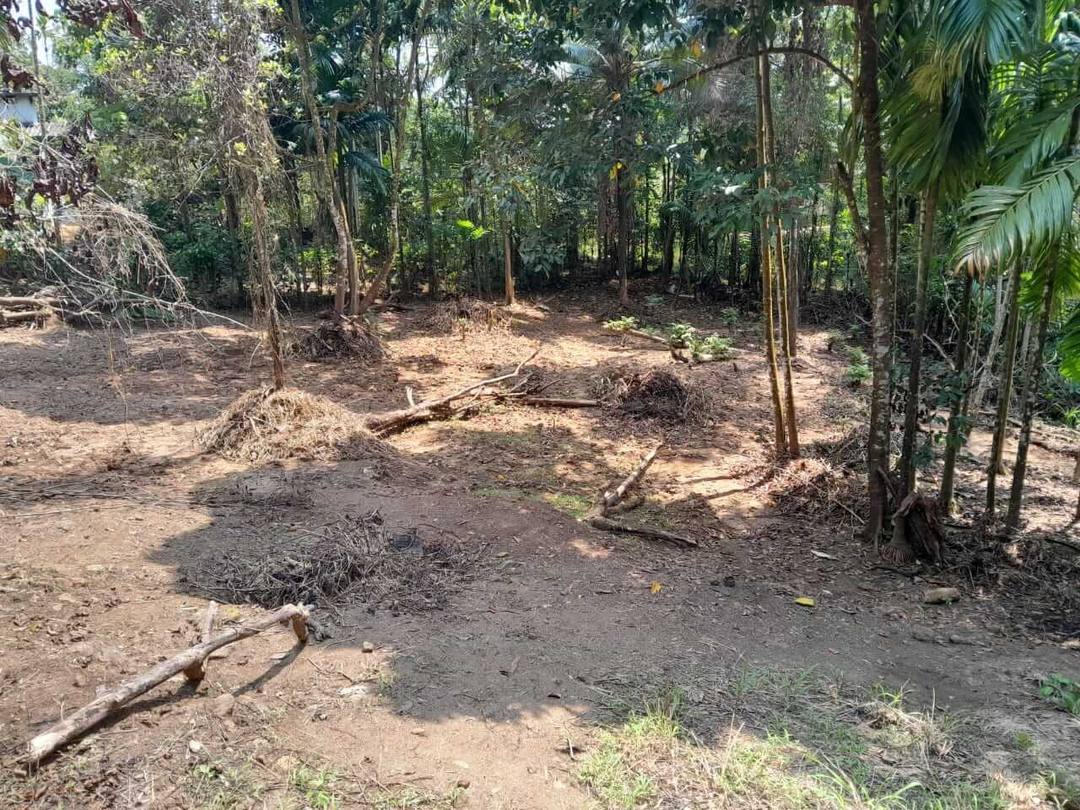 LAND FOR SALE IN ANGAMMANA, RATNAPURA