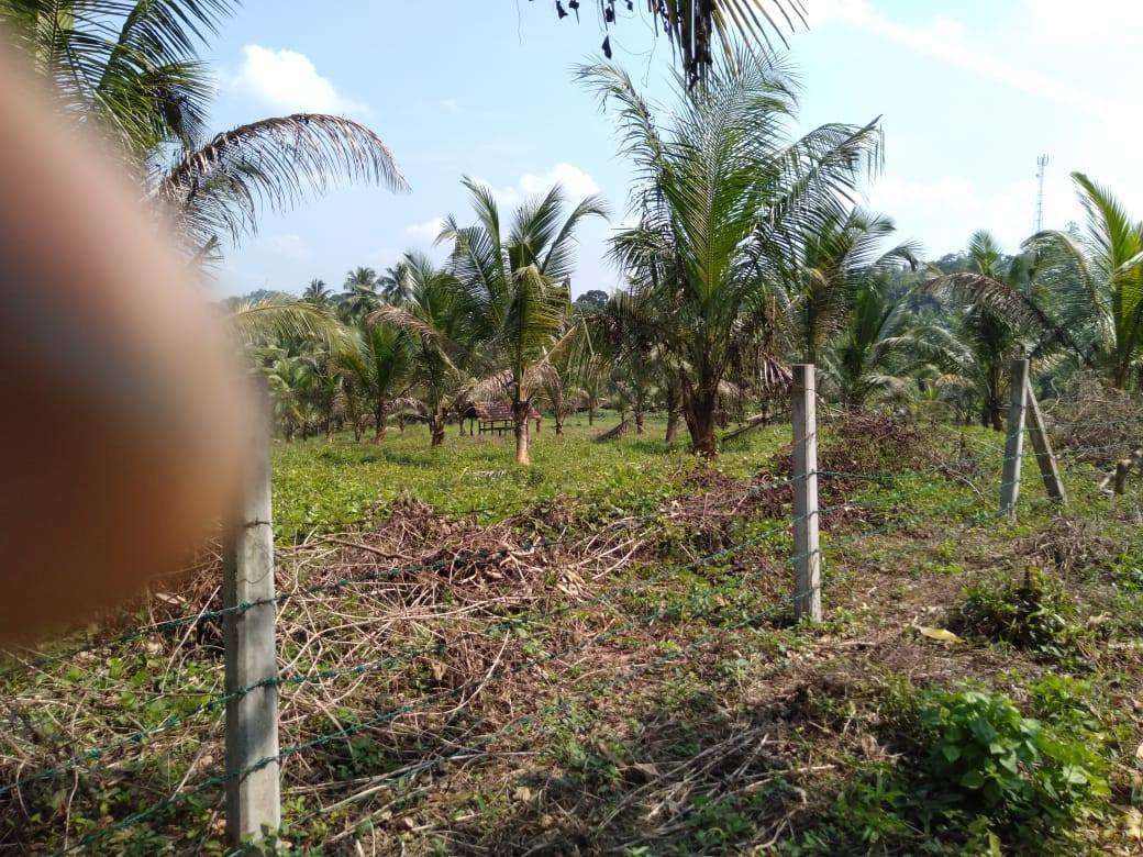 LAND FOR SALE IN AVISSAWELLA