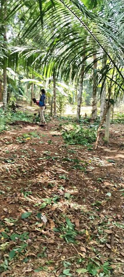 LAND FOR SALE IN MINUWANGODA