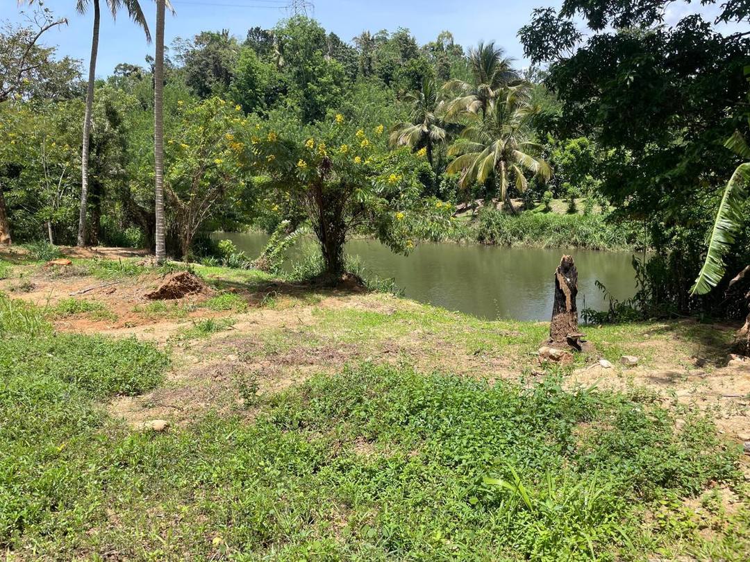 73 PERCH WATERFRONT LAND (WALAWE RIVERFRONT PROPERTY) FOR SALE IN BALANGODA