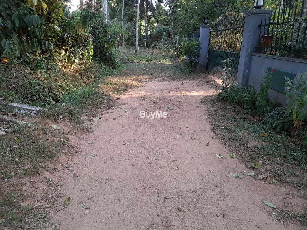 LAND FOR SALE IN POLGAHAWELA
