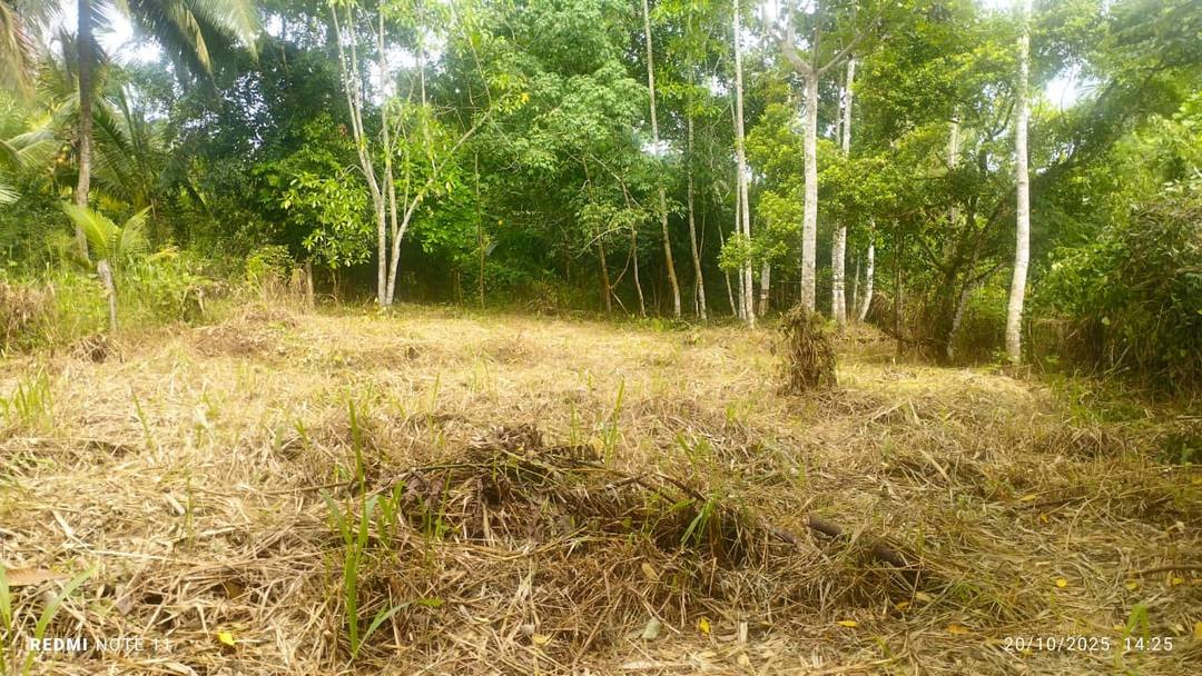 LAND FOR SALE IN AMBALANGODA