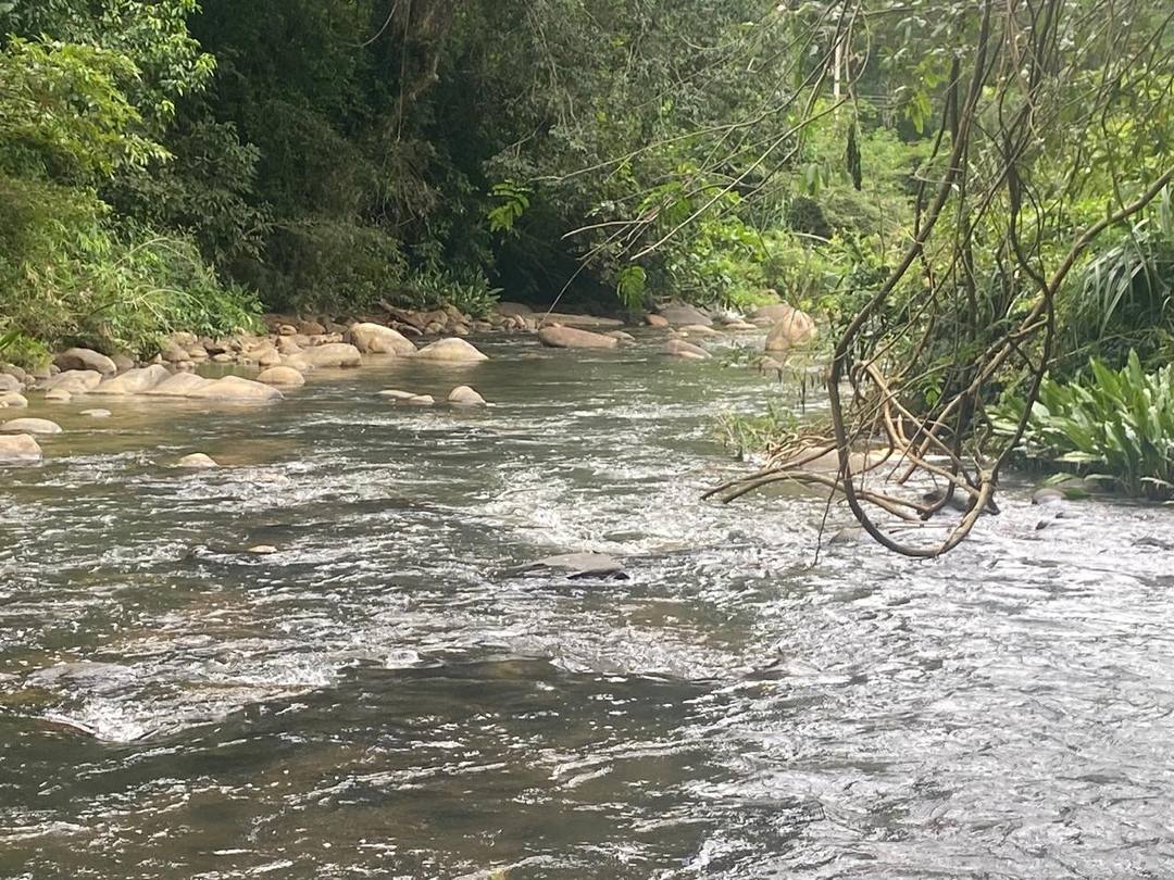 100 PERCH LAND FOR SALE IN WELLAWAYA, ELLA