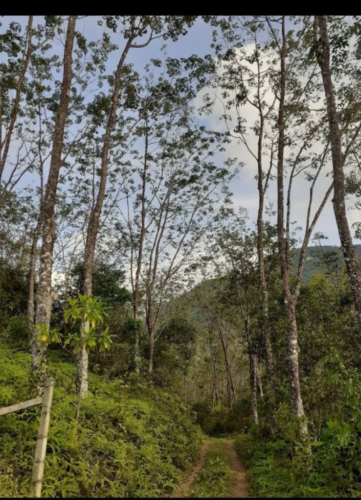 LAND FOR SALE – RATNAPURA