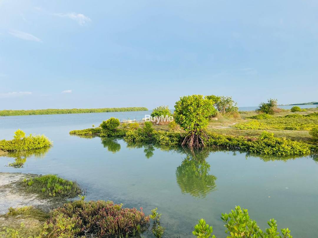 F-9343 | LAND FOR SALE IN PALLIVASALTHURAI, KALPITIYA