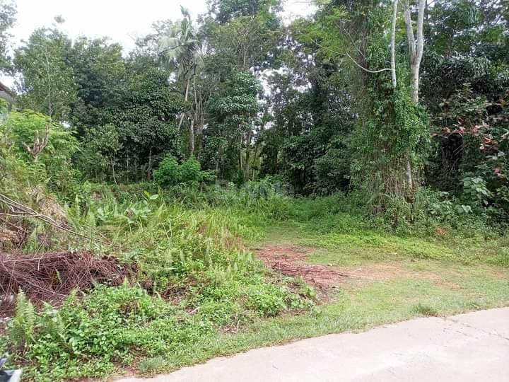 LAND FOR SALE IN FRONT OF SEVA PIYASA NEAR DODAMGODA WADUGAMA TEMPLE
