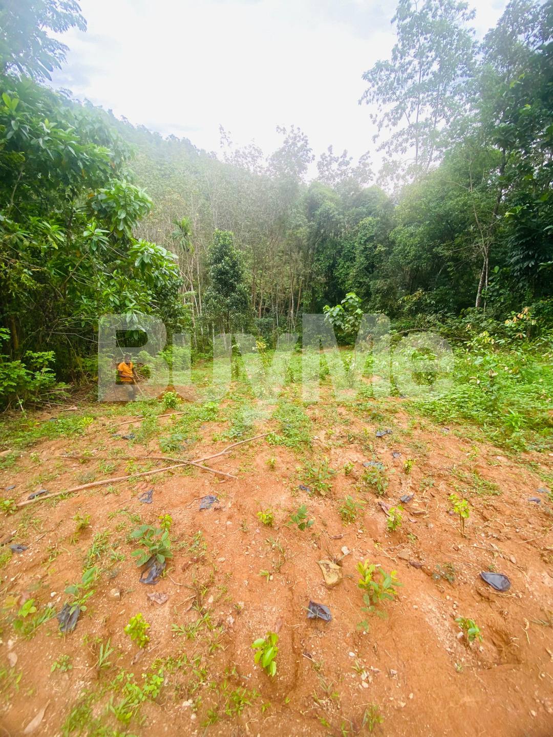 කෑගල්ල, ඇකිරියගල පර්චස් 40ක වටිනා ඉඩම ඉක්මණින් විකිණීමට