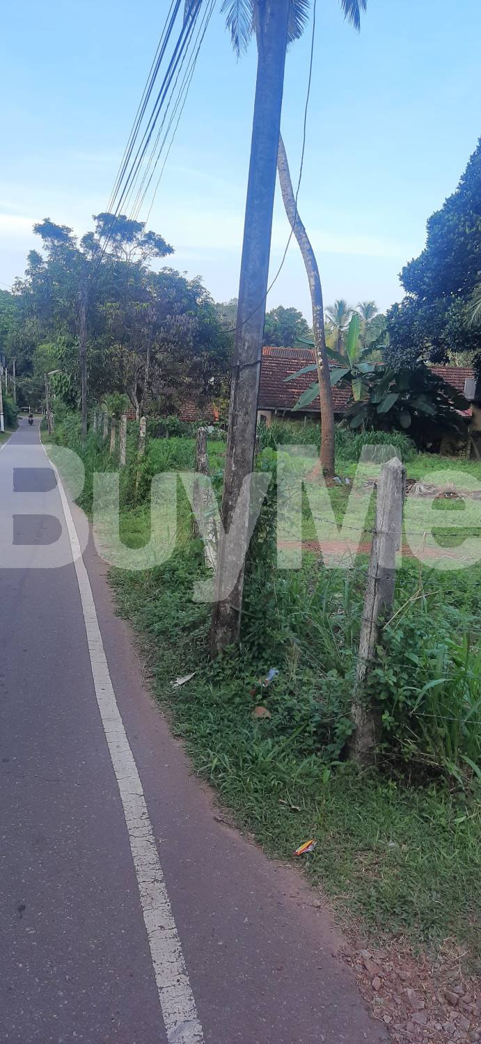 LAND FOR SALE IN PALLEWELA MIHINDU MAWATHA