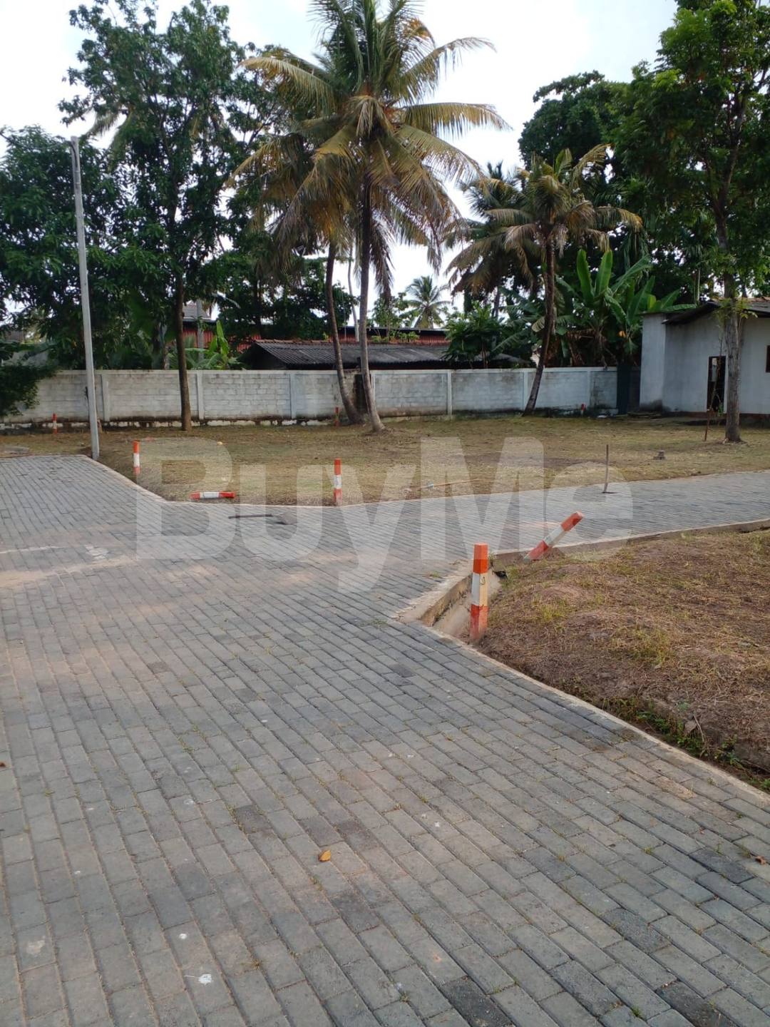 LAND FOR SALE IN WATTALA - SAVI LANDS